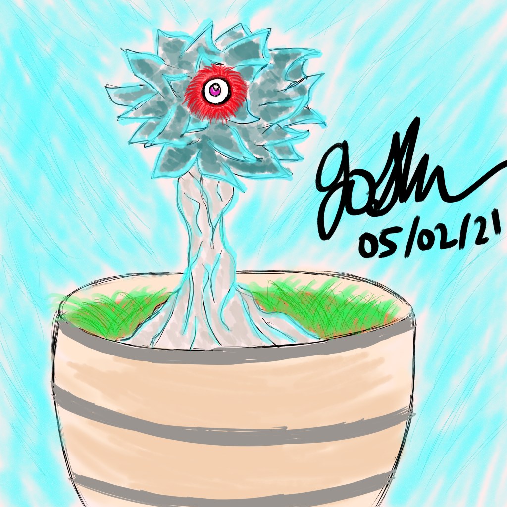 Let Your Transformation Shine the Brightest (A Life&nbsp;Lesson)!