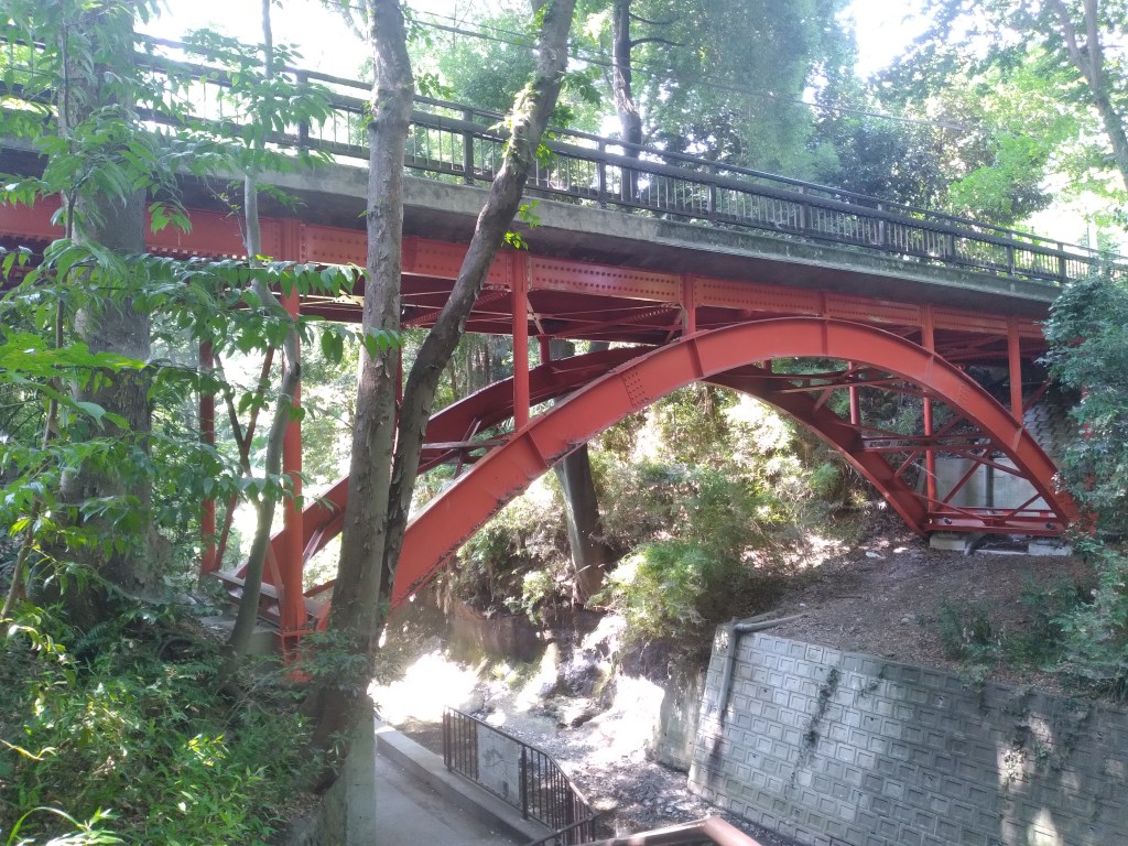 Reflections on Life: Finding My Golden&nbsp;Compass